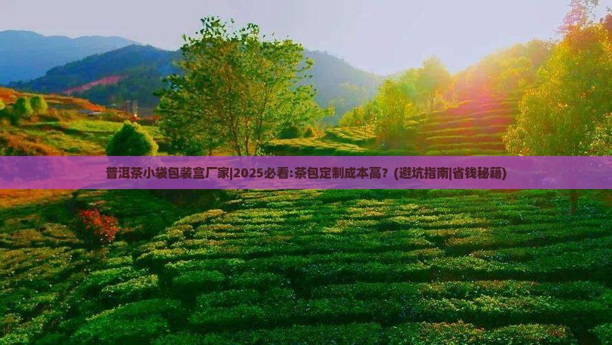 普洱茶小袋包装盒厂家