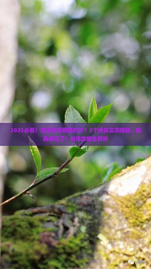 普洱茶有很细的沙