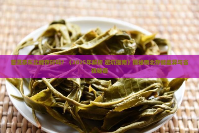 普洱茶东北储存好吗