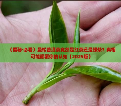 曼松普洱茶是红茶还是绿茶
