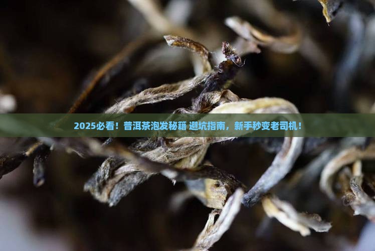 普洱茶怎么泡发的 普洱茶怎么泡发的