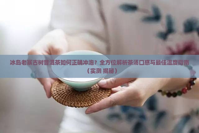 冰岛老寨古树茶如何泡喝
