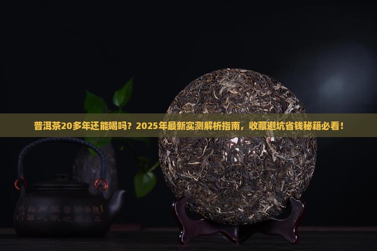 普洱茶20多年还能喝吗