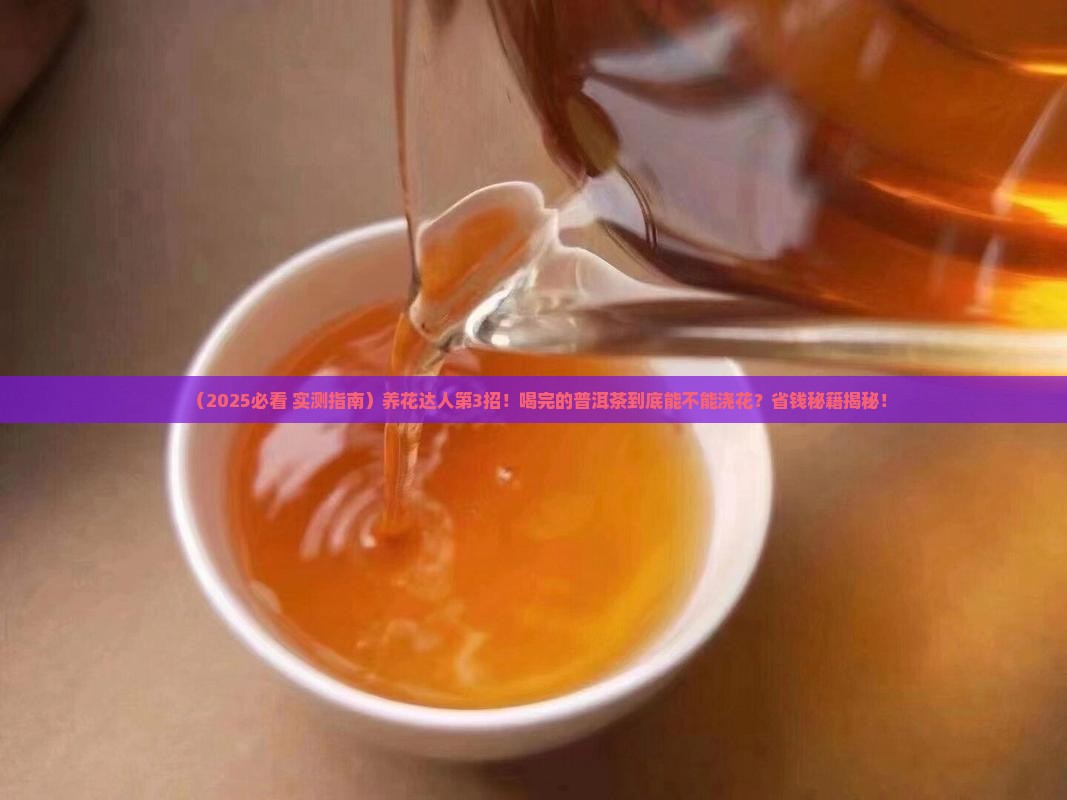 喝完的普洱茶能养花吗