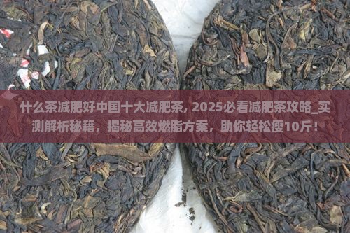 什么茶减肥好中国十大减肥茶