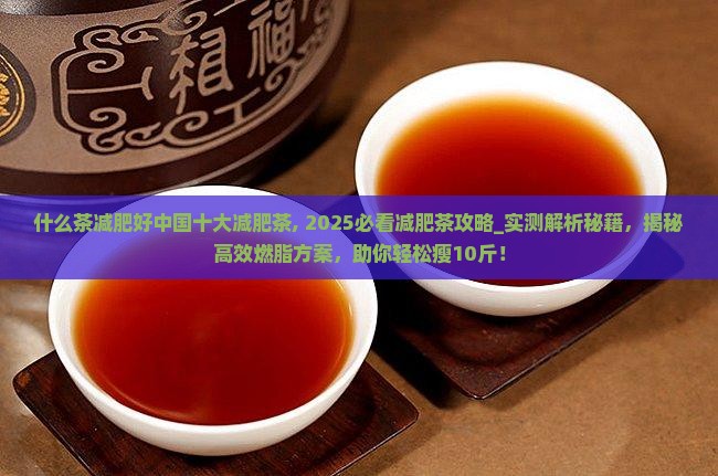 什么茶减肥好中国十大减肥茶