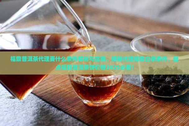 福鼎普洱茶代理要什么条件