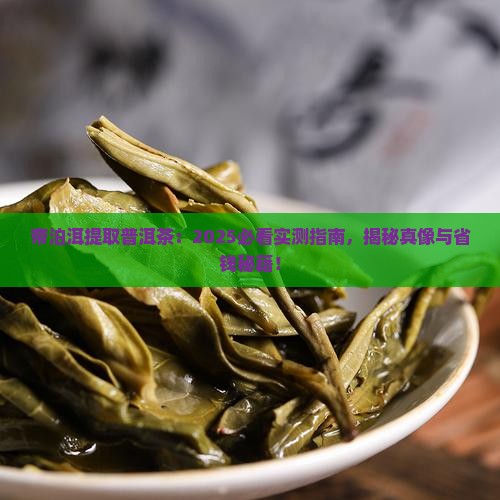 帝泊洱提取普洱茶
