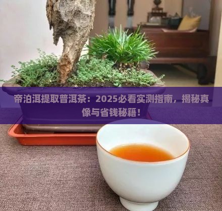 帝泊洱提取普洱茶