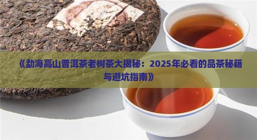 勐海高山普洱茶老树茶