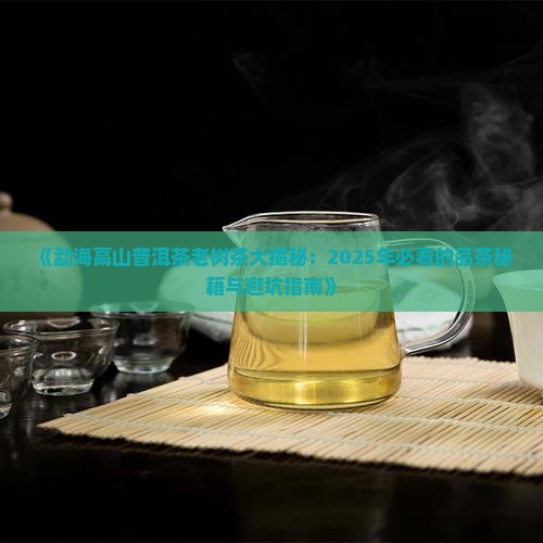 勐海高山普洱茶老树茶