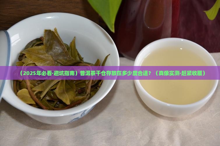普洱茶干仓存放多少度