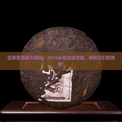 白茶普洱茶有什么区别