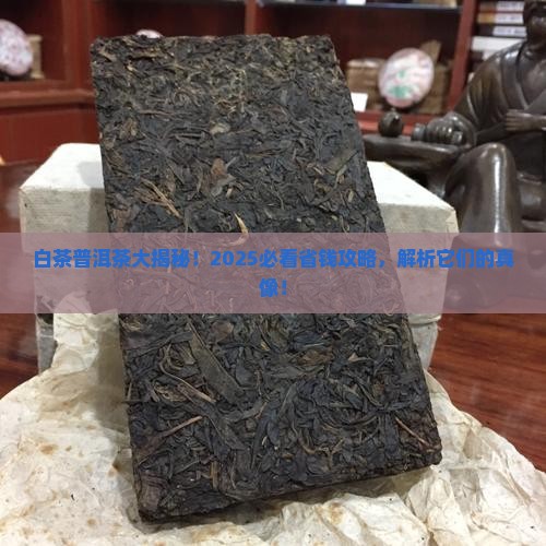 白茶普洱茶有什么区别