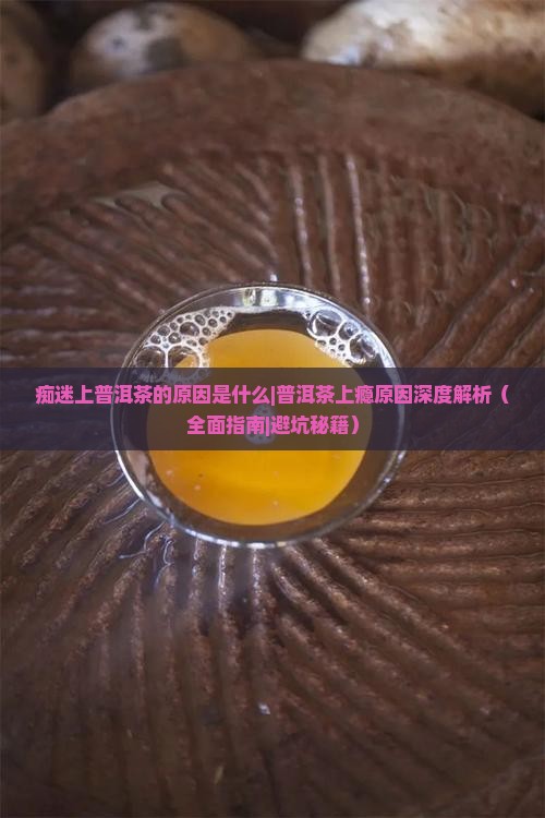 痴迷上普洱茶的原因是什么