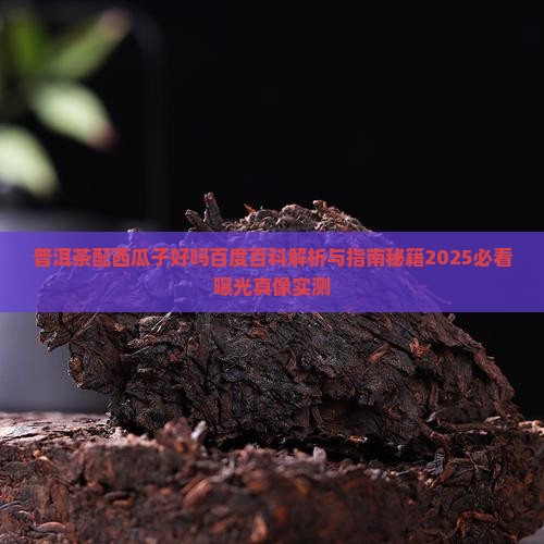 普洱茶配西瓜子好吗百度百科