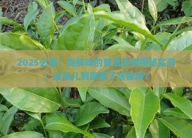 海鲜味的普洱茶饼