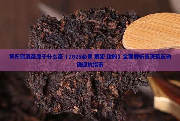 昔归普洱茶属于什么茶