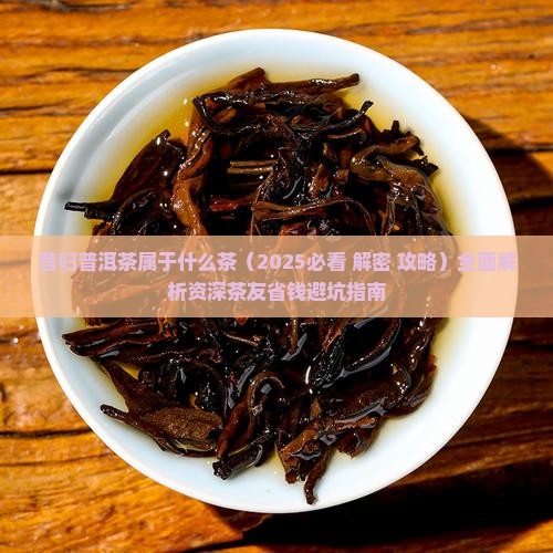 昔归普洱茶属于什么茶