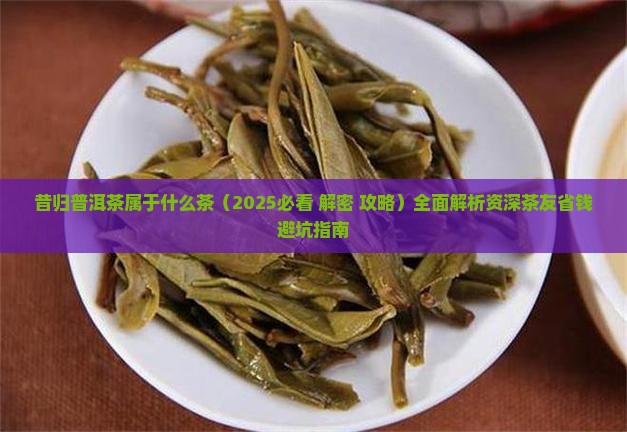 昔归普洱茶属于什么茶