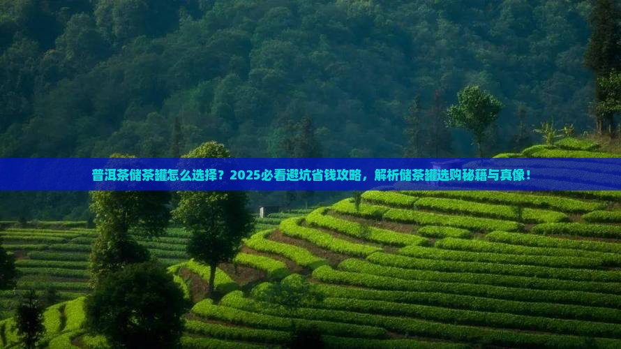 普洱茶储茶罐怎么选择