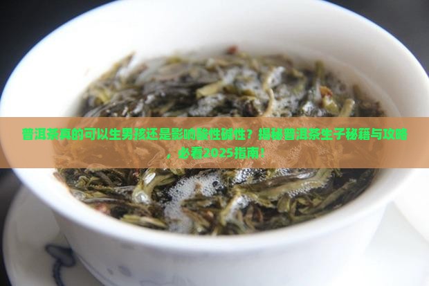 经常喝普洱茶可以生男孩吗