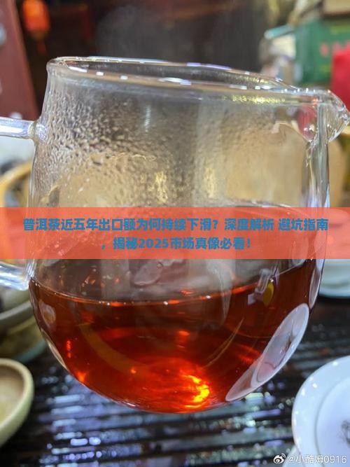 普洱茶近五年出口额