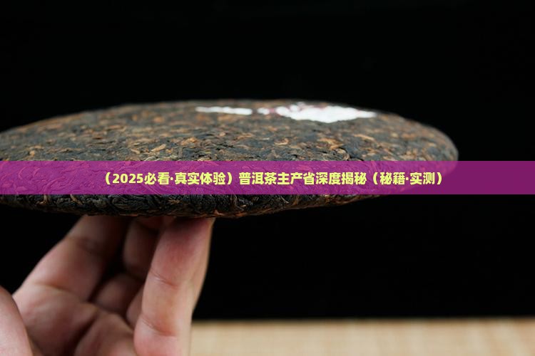 普洱茶哪个省主产