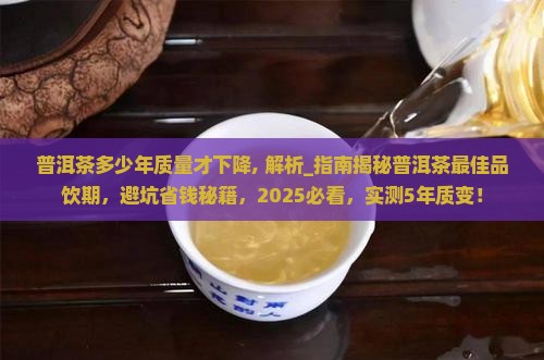 普洱茶多少年质量才下降
