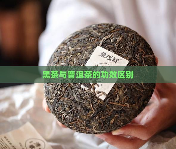 黑茶与普洱茶的功效区别