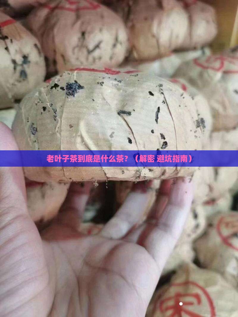 老叶子茶是什么茶