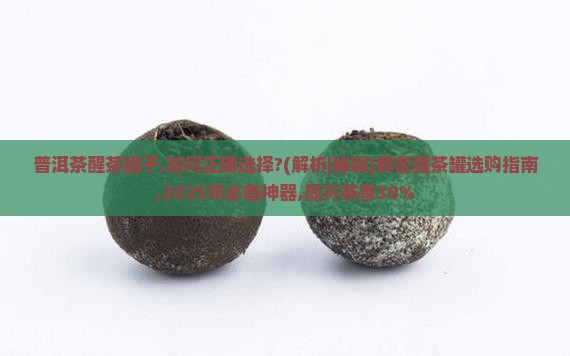 普洱茶醒茶罐子