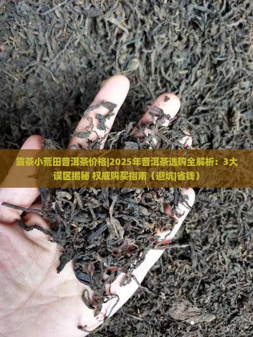 霸茶小荒田普洱茶价格