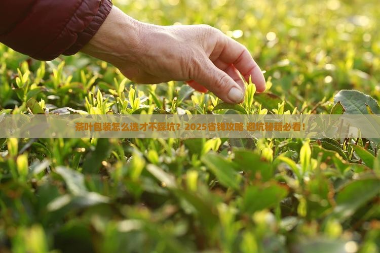 茶叶包装用什么好