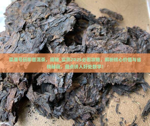 梁渊号玩家普洱茶