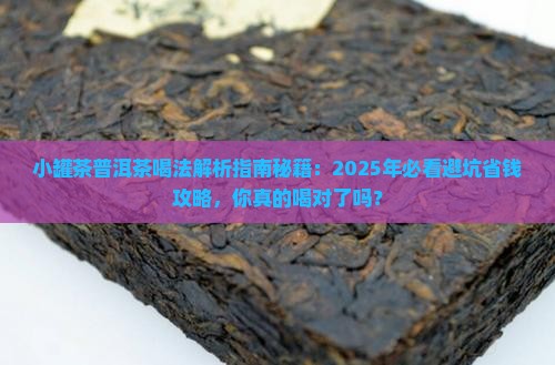 小罐茶普洱茶喝法