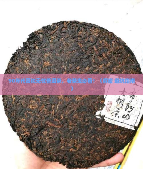 90年代高枕无忧普洱茶