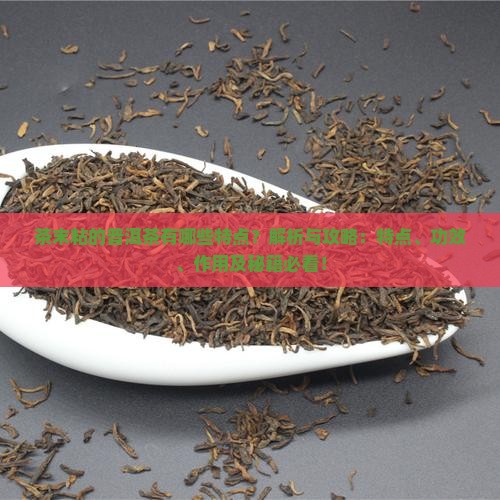 茶末粘的普洱茶有哪些特点