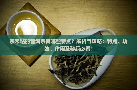 茶末粘的普洱茶有哪些特点