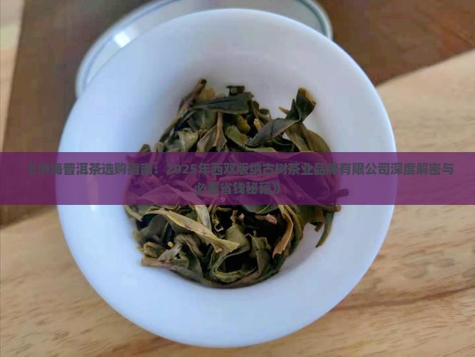 洪海普洱茶哪个牌子好