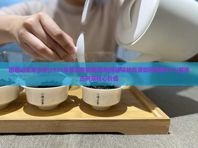 困鹿山皇家古茶