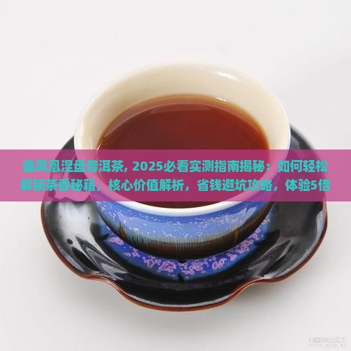 鑫凤凰涅盘普洱茶