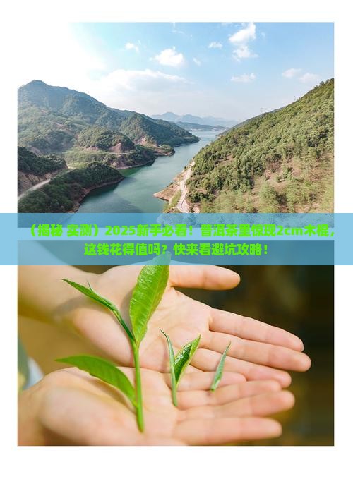 普洱茶里有2cm的木棍