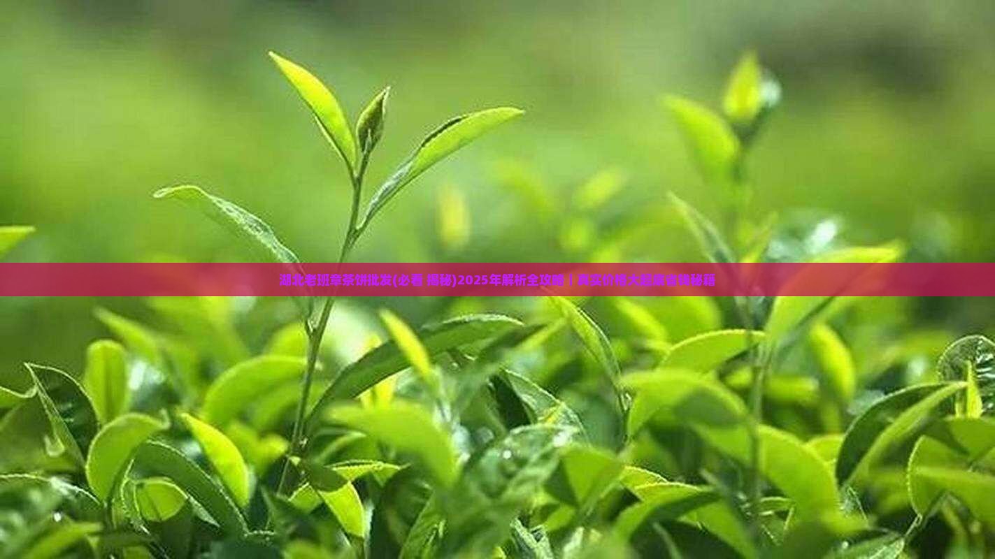 湖北老班章茶饼批发