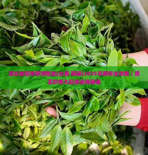 湖北老班章茶饼批发