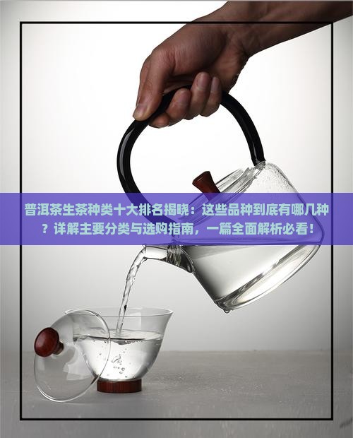 普洱茶的生茶种类