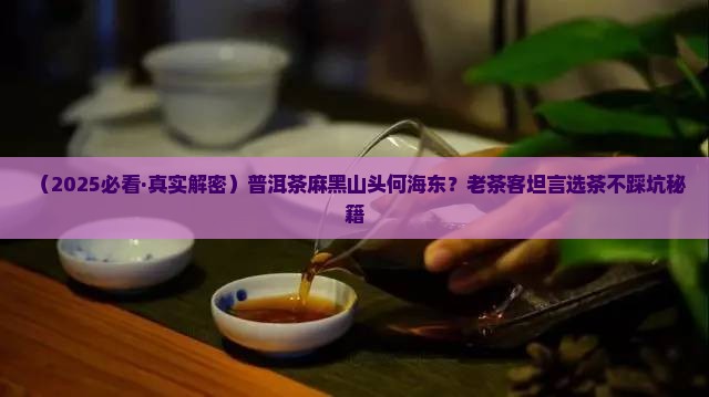 普洱茶麻黑山头何海东