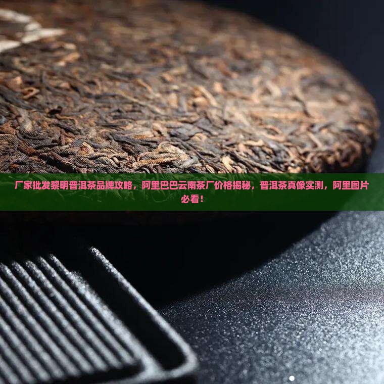 厂家批发黎明普洱茶
