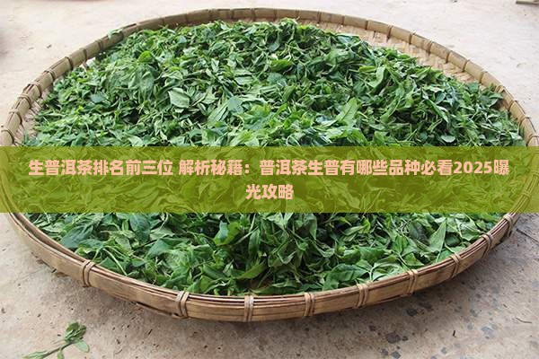 生普洱茶排名前三位