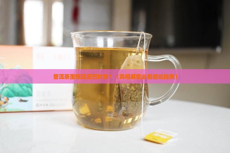 普洱茶中的泥巴一样的东西